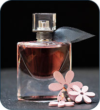 Eternal Elegance